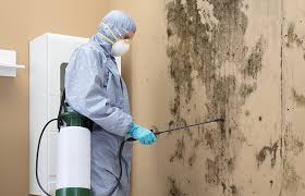  Lake Camelot, IL Mold Prevention & Removal Pros